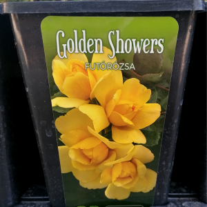 Golden Showers