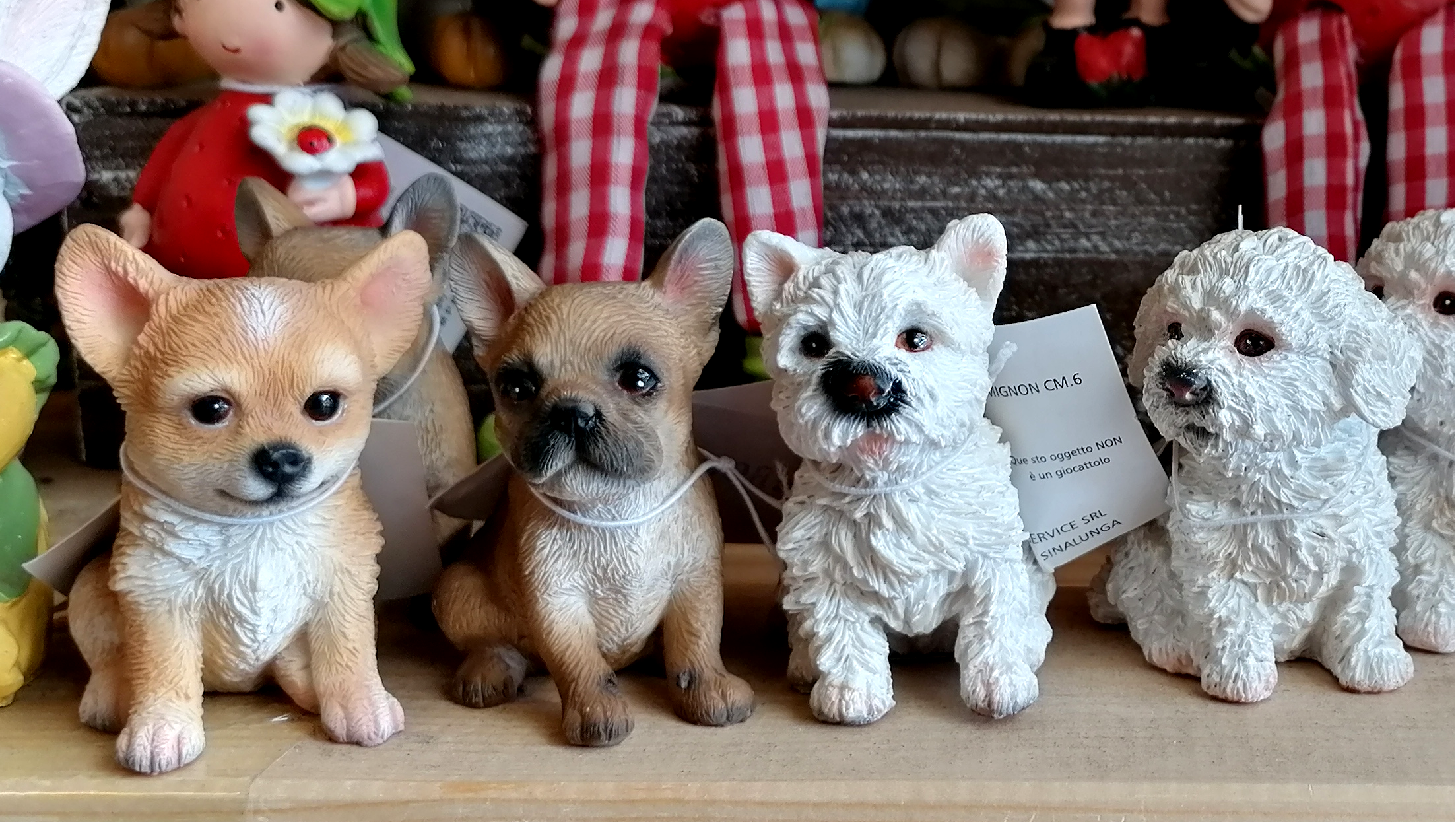 Uszkár fehér mignon 6 cm - Image 4