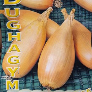 Birnförmige sonkahagyma dughagyma 200 g