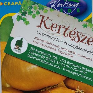 Hagyma Stuttgarti Óriásvetőmag 2g