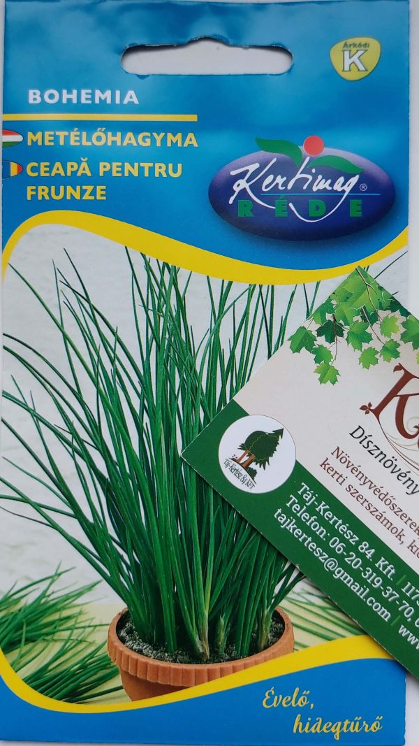 Hagyma Metélőhagyma Bohemia vetőmag 2g - Image 3