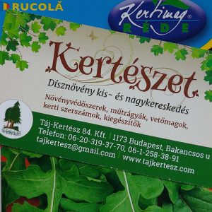 Rukkola vetőmag 2g.