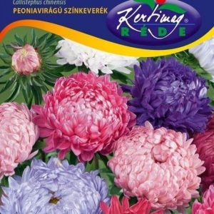Őszirózsa vetőmag, Peoniavirágú színkeverék, 1 g