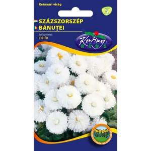 Százszorszép Fehér -Bellis perennis