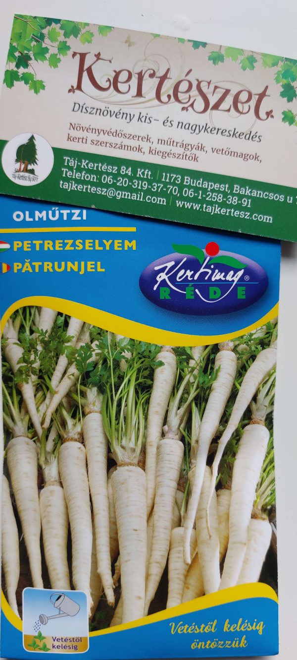 Petrezselyem Olműtzi