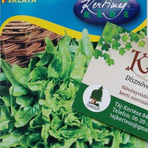 Saláta Dubacek tölgylevelű saláta vetőmag