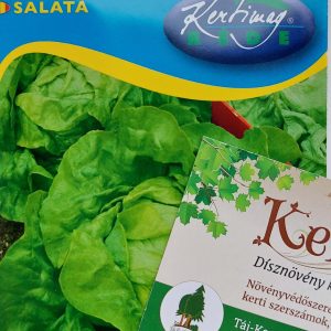 Saláta Attrakció fejessaláta