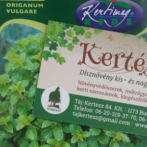 Oregánó/szurokfű vetőmag 0,5g.