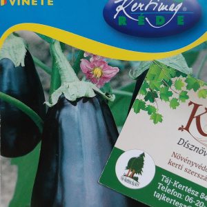 Padlizsán/tojásgyümölcs vetőmag Nero 1g.