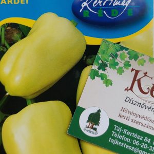 Paprika vetőmag Albaregia