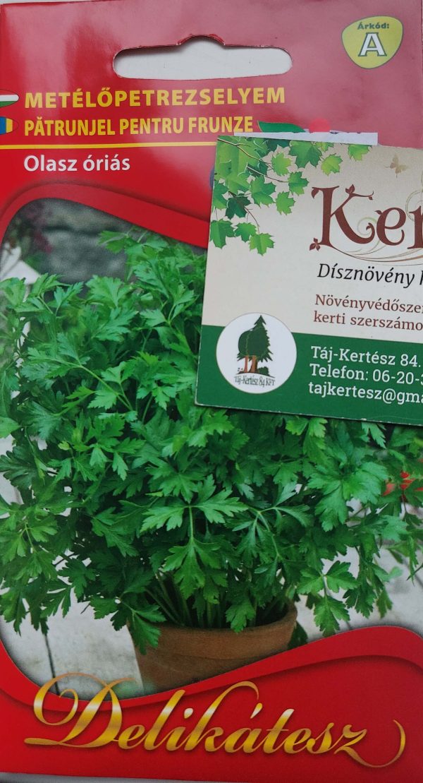 Metélőpetrezselyem vetőmag Olasz óriás