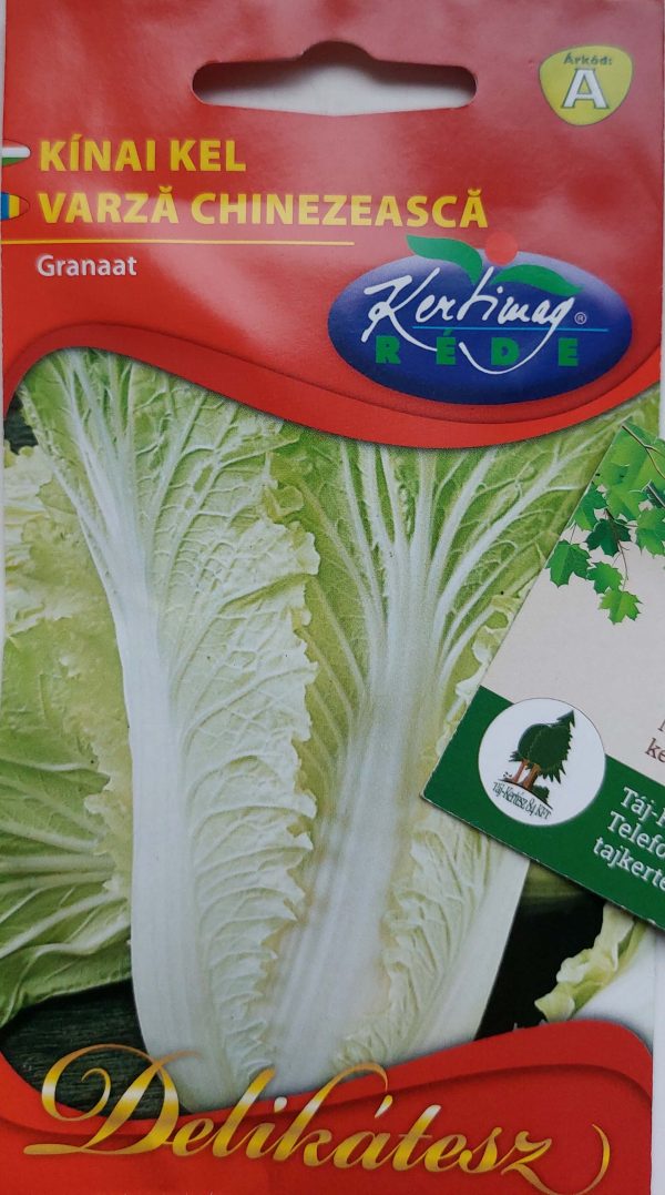 Kínai kel vetőmag Granaat