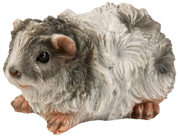 Tengerimalac Leopoldo 8 cm 25-100-10