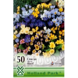 Crocus botanical Mix / Botanikai krókusz mix 50 db