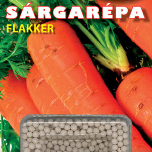 Sárgarépa Flakkée-2 drazsírozott vetőmag