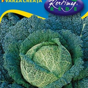 Kelkáposzta Vertus 2 vetőmag