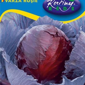 Vöröskáposzta Rufus vetőmag