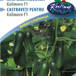 Mini salátauborka - Kalimero F1