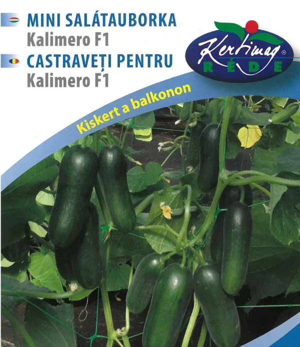 Mini salátauborka - Kalimero F1