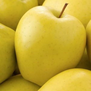 Alma 'Golden Delicious'