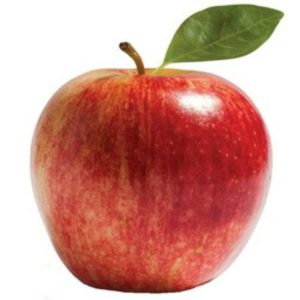 Malus domestica 'Red Leaf' – Bordó levelű almafa