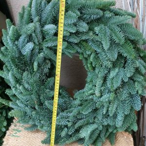 Adventi koszorú alap nobilis fenyőből nagy