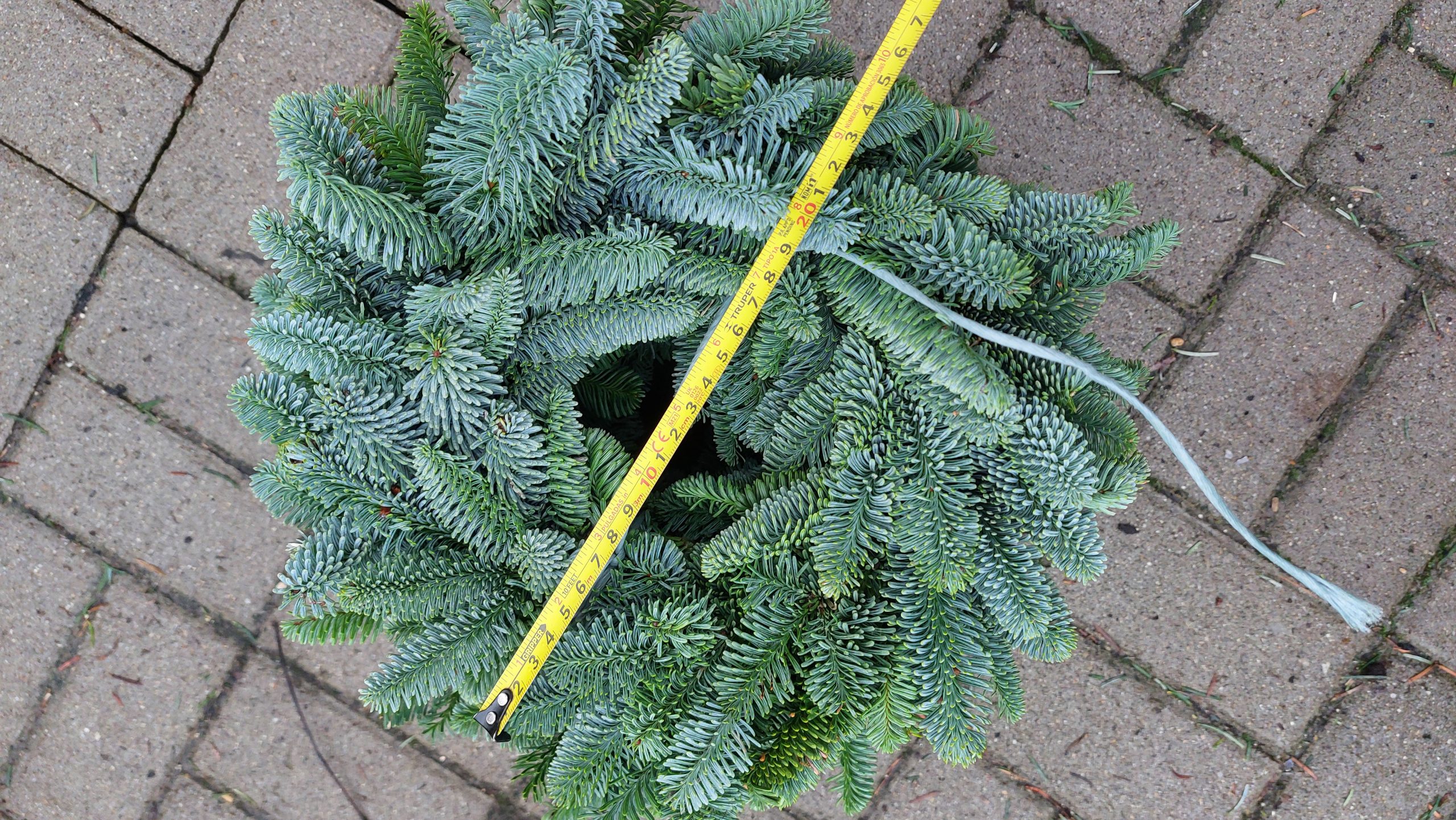 Adventi koszorú alap nobilis fenyőből közepes