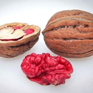 Juglans regia ‘Rubin’ - Diófa