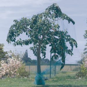 Nortene Birdnet 2x50m