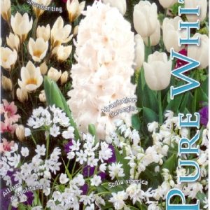 collection-white-kollekcio-feher-50-db