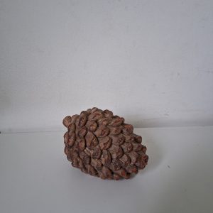 Toboz dekor