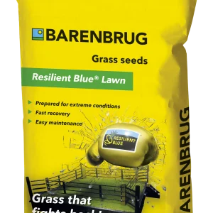 Barenbrug Resilient Blue Lawn fűmagkeverék 5kg.