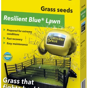 Barenbrug Resilient Blue Lawn fűmagkeverék 1kg.