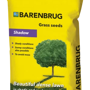 Barenburg fűmagok